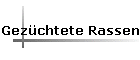 Gezchtete Rassen