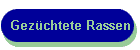 Gez�chtete Rassen