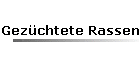 Gezchtete Rassen