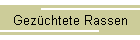 Gezchtete Rassen