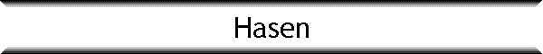 Hasen