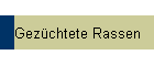 Gezchtete Rassen